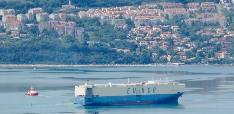 MORNING CLARA General Cargo IMO 9460887 photo 2