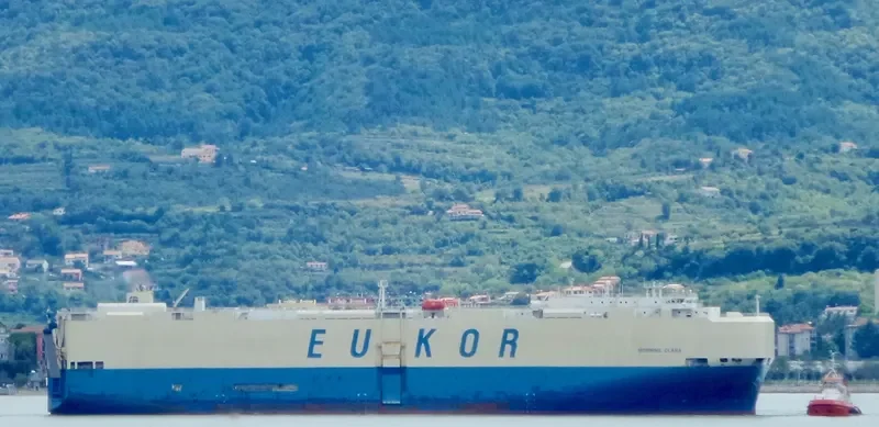 MORNING CLARA General Cargo IMO 9460887 photo 3