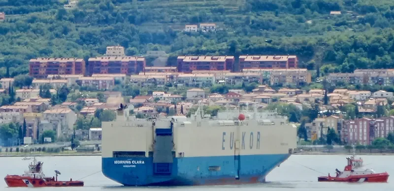 MORNING CLARA General Cargo IMO 9460887 photo 4
