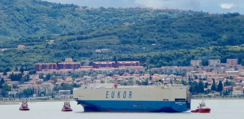 MORNING CLARA General Cargo IMO 9460887 photo 5