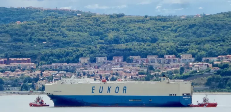 MORNING CLARA General Cargo IMO 9460887 photo 6