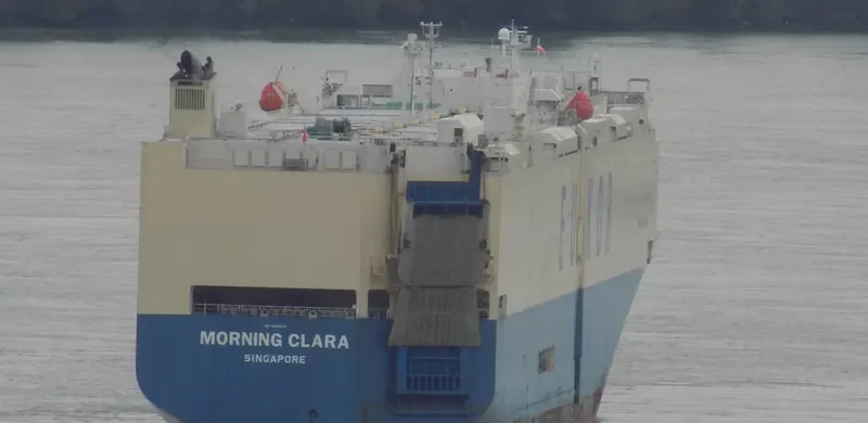 MORNING CLARA General Cargo IMO 9460887 photo 8