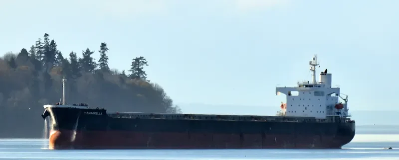 ONE OCEAN Bulk Carrier IMO 9460904 photo 2