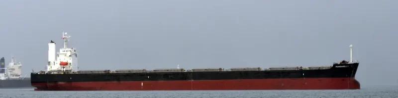 ONE OCEAN Bulk Carrier IMO 9460904 photo 4