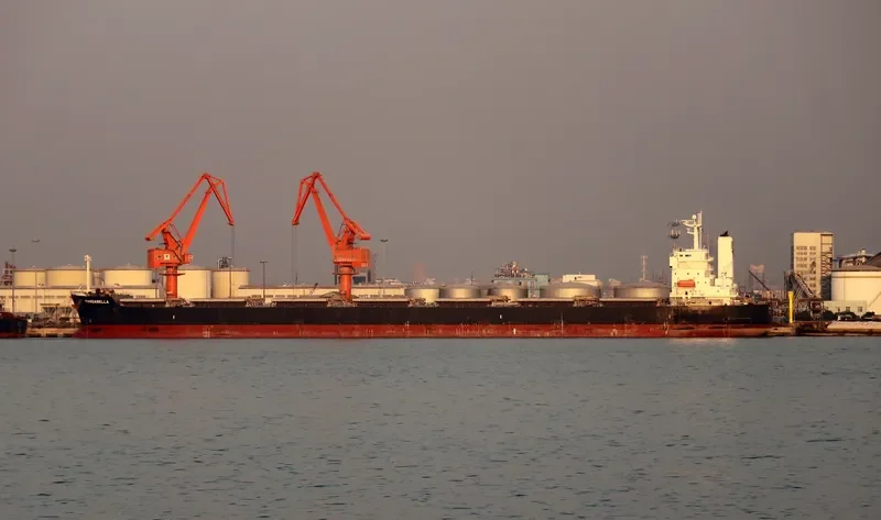 ONE OCEAN Bulk Carrier IMO 9460904 photo 6