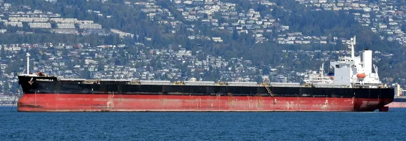 ONE OCEAN Bulk Carrier IMO 9460904 photo 9