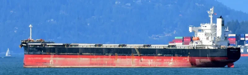 ONE OCEAN Bulk Carrier IMO 9460904 photo 10