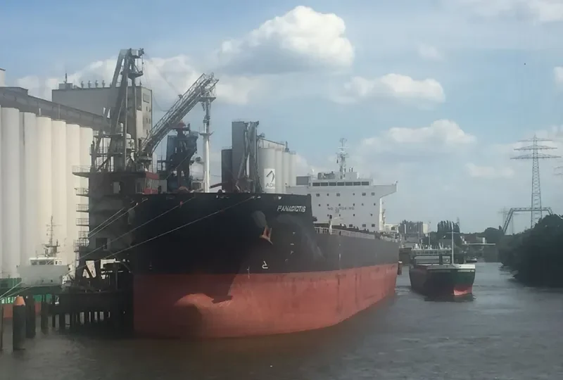 PANAGIOTIS Bulk Carrier IMO 9461063 photo 8
