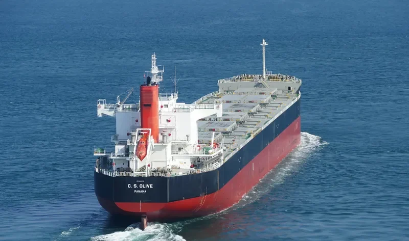 C.S.OLIVE Bulk Carrier IMO 9461075