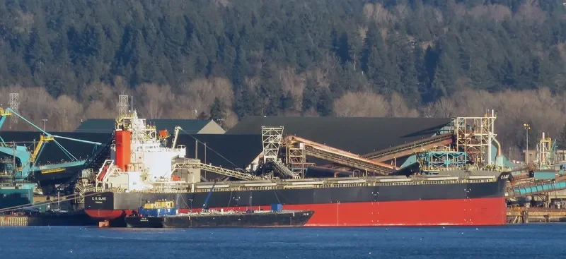 C.S.OLIVE Bulk Carrier IMO 9461075 photo 7