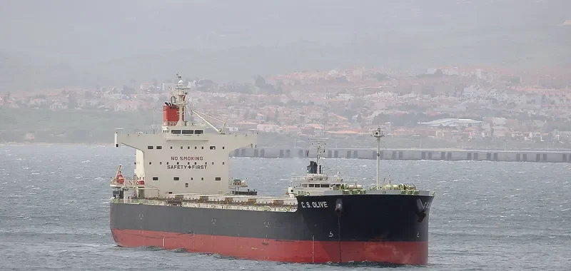 C.S.OLIVE Bulk Carrier IMO 9461075 photo 8