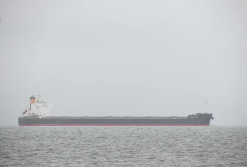 KM HONGKONG Bulk Carrier IMO 9461099 photo 8