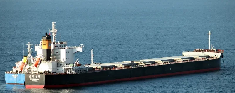 KM HONGKONG Bulk Carrier IMO 9461099 photo 9