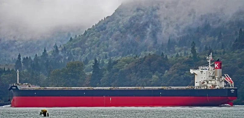 JAIGARH Bulk Carrier IMO 9461104 photo 9