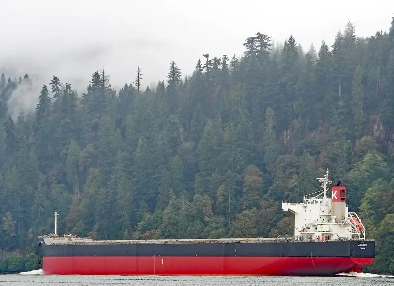 JAIGARH Bulk Carrier IMO 9461104 photo 10