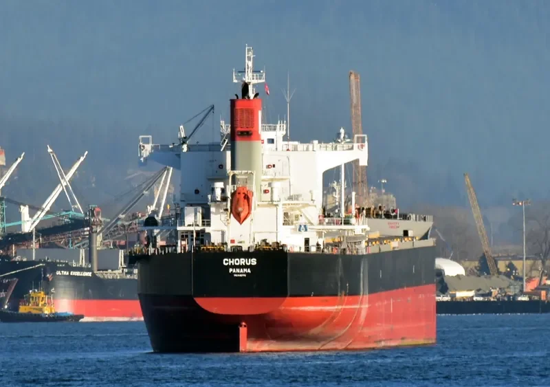 CHORUS Bulk Carrier IMO 9461116 photo 3