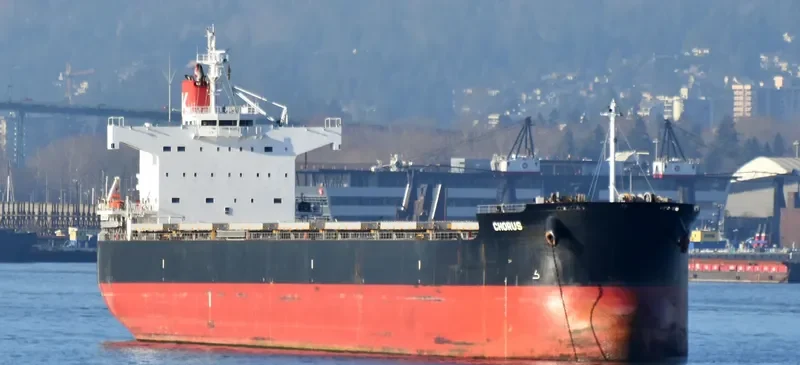 CHORUS Bulk Carrier IMO 9461116 photo 5