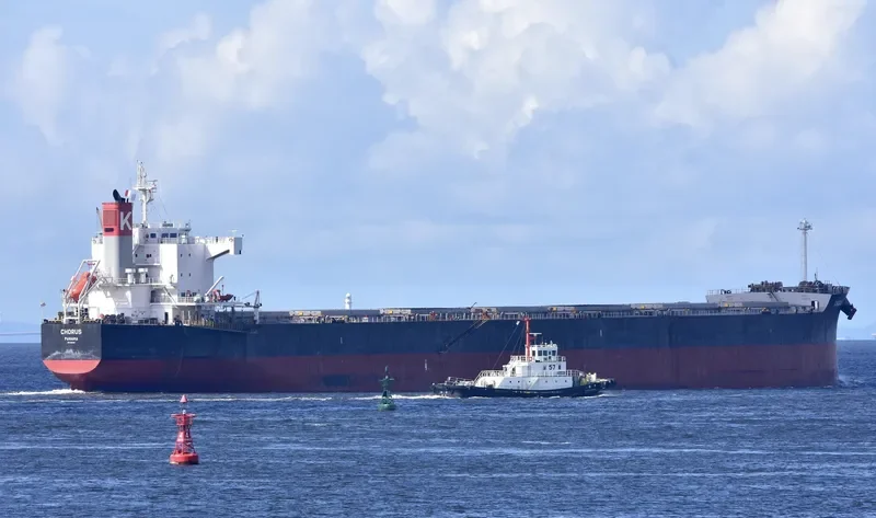 CHORUS Bulk Carrier IMO 9461116 photo 7
