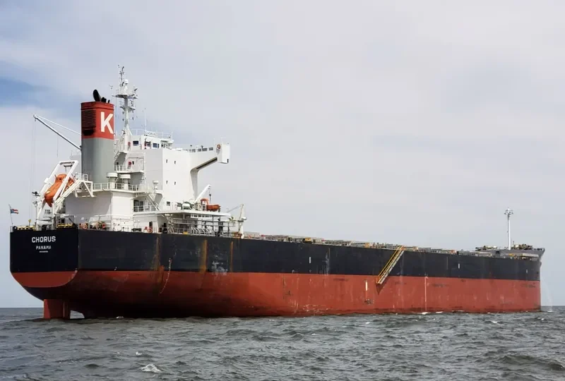 CHORUS Bulk Carrier IMO 9461116 photo 8