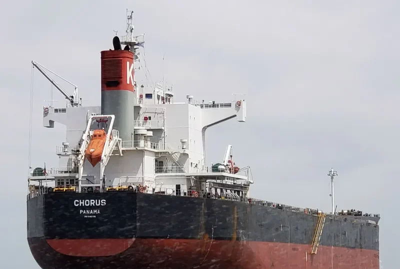 CHORUS Bulk Carrier IMO 9461116 photo 9