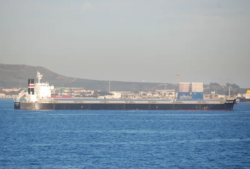 NEA TYHI Bulk Carrier IMO 9461128 photo 4