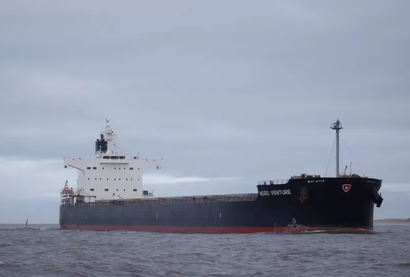 NEA TYHI Bulk Carrier IMO 9461128 photo 8