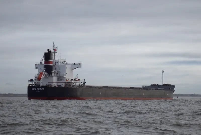 NEA TYHI Bulk Carrier IMO 9461128 photo 10