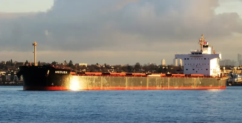 MEDUSA Bulk Carrier IMO 9461130