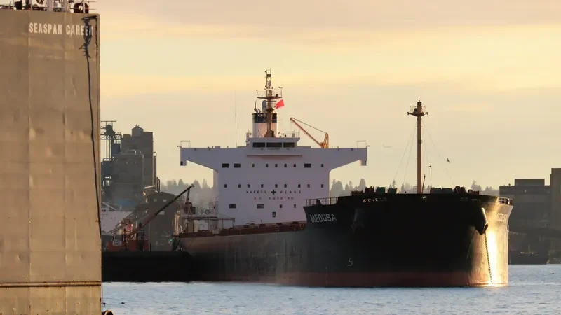 MEDUSA Bulk Carrier IMO 9461130 photo 3
