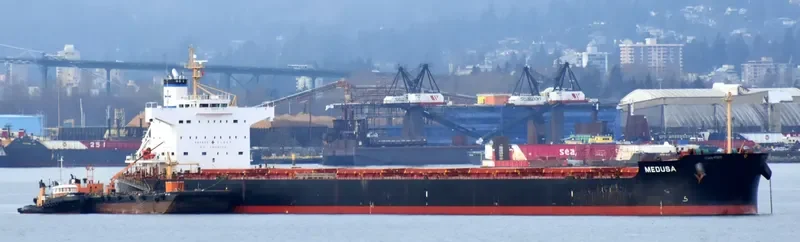 MEDUSA Bulk Carrier IMO 9461130 photo 5
