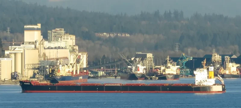 MEDUSA Bulk Carrier IMO 9461130 photo 6