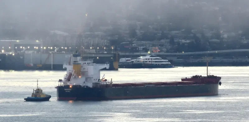 MEDUSA Bulk Carrier IMO 9461130 photo 8
