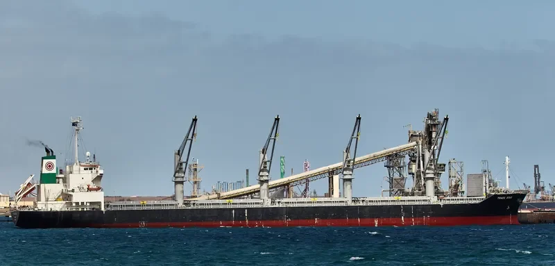 STAR TRADER Bulk Carrier IMO 9461142