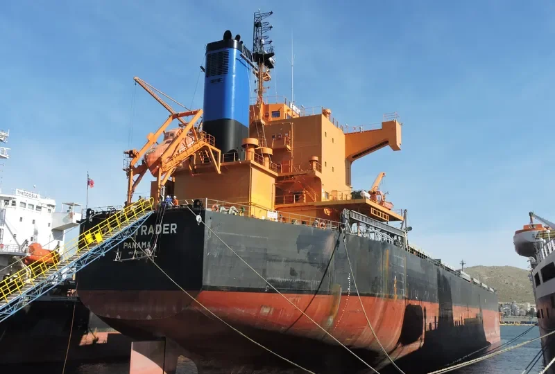 STAR TRADER Bulk Carrier IMO 9461142 photo 4