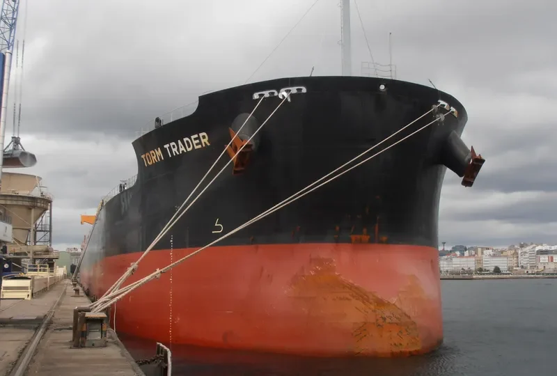 STAR TRADER Bulk Carrier IMO 9461142 photo 7