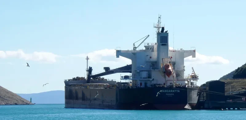 WANGARATTA Bulk Carrier IMO 9461166 photo 4