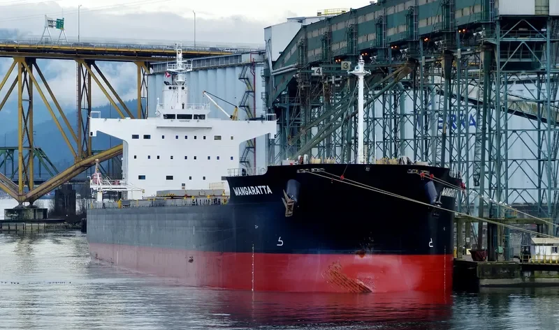 WANGARATTA Bulk Carrier IMO 9461166 photo 10