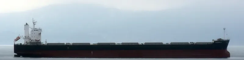 KIRRIBILLI Bulk Carrier IMO 9461178 photo 4