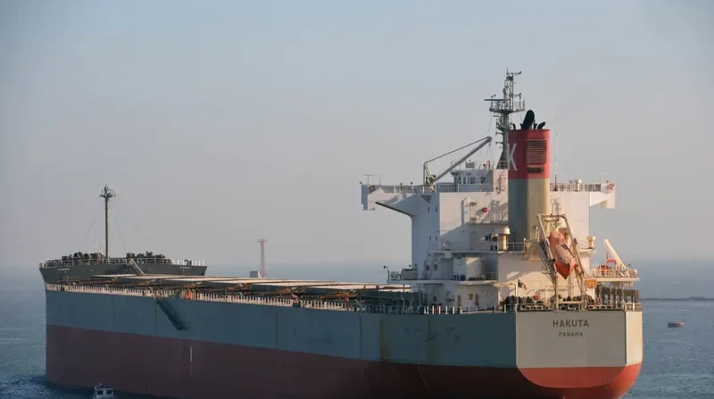 HAKUTA Bulk Carrier IMO 9461221
