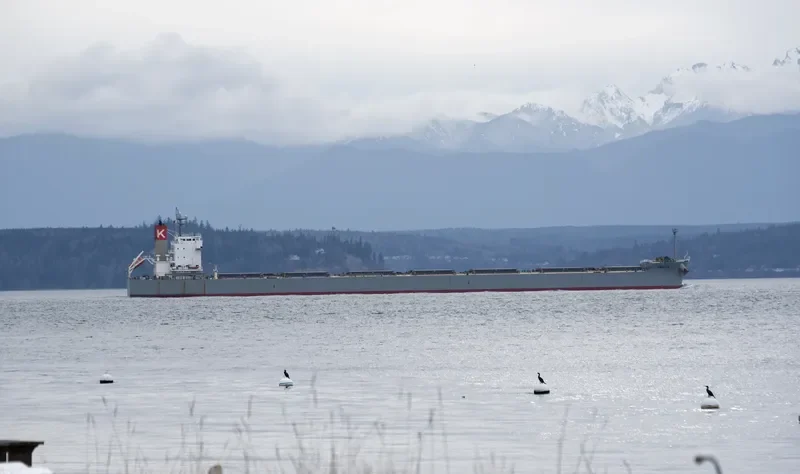 HAKUTA Bulk Carrier IMO 9461221 photo 3