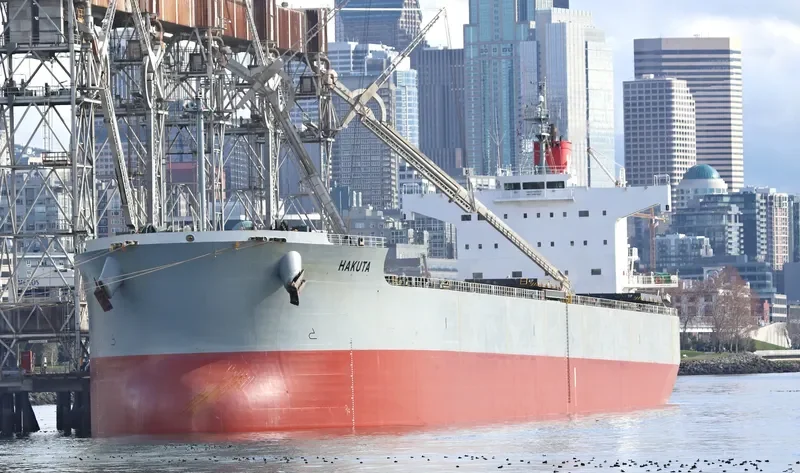 HAKUTA Bulk Carrier IMO 9461221 photo 4