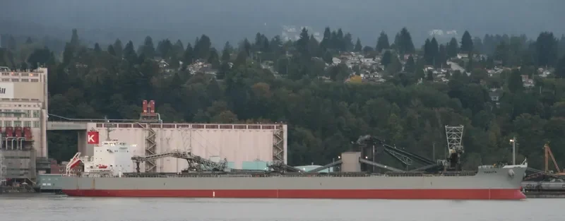 HAKUTA Bulk Carrier IMO 9461221 photo 8