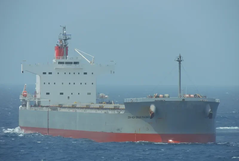 MAGNOLIA Bulk Carrier IMO 9461233 photo 4