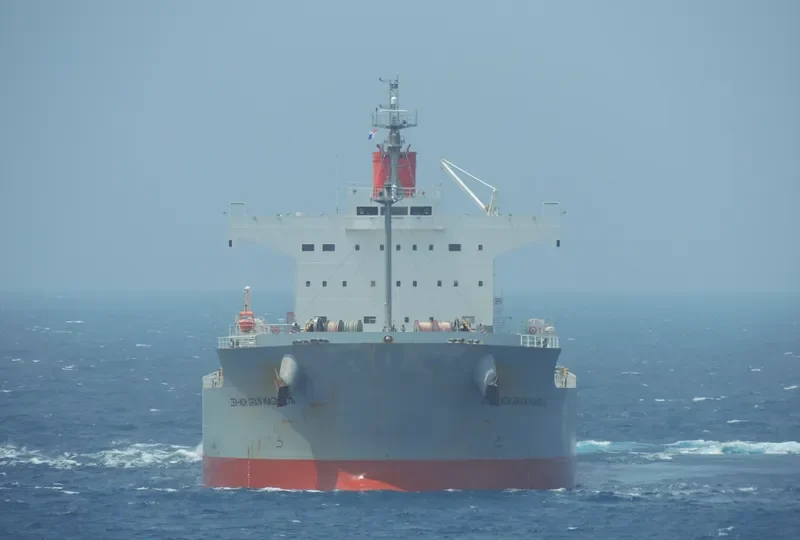MAGNOLIA Bulk Carrier IMO 9461233 photo 5