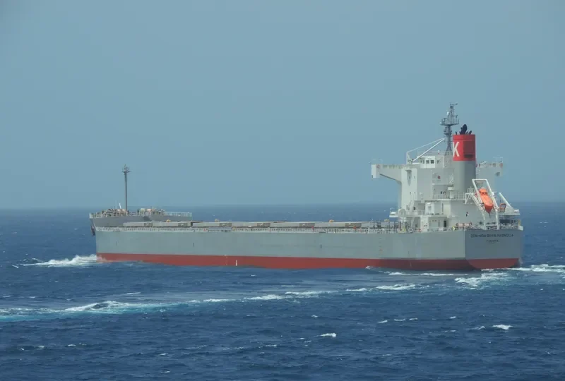 MAGNOLIA Bulk Carrier IMO 9461233 photo 7