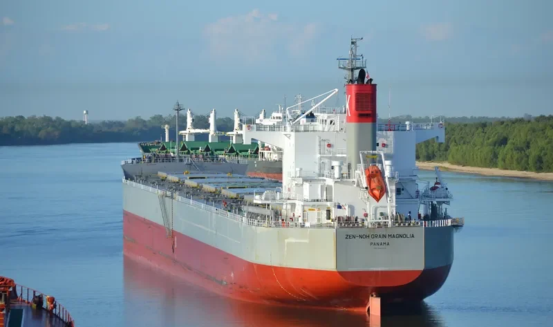 MAGNOLIA Bulk Carrier IMO 9461233 photo 9