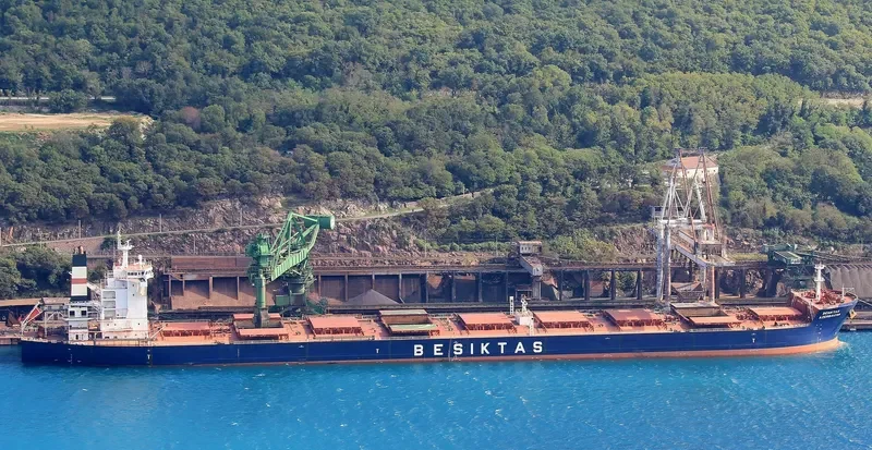 BESIKTAS AZERBAIJAN Bulk Carrier IMO 9461283 photo 6