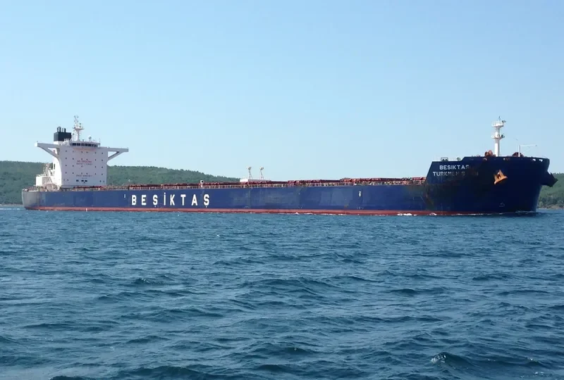 SUNNY SKY Bulk Carrier IMO 9461295