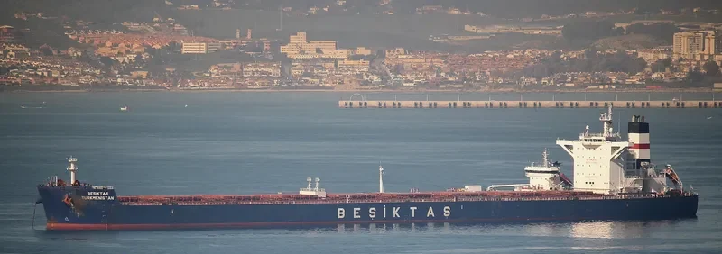 SUNNY SKY Bulk Carrier IMO 9461295 photo 3
