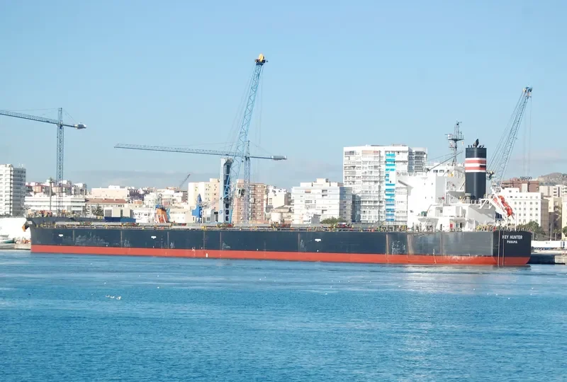 KEY HUNTER Bulk Carrier IMO 9461312 photo 5